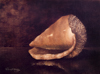 thumbnail for Conch Shell